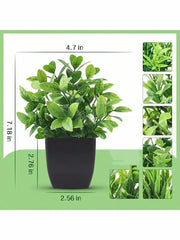 Artificial potted plants with black pots - 4 different shapes