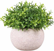 Artificial Potted Plants Beige - 5 Different Designs