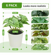 Artificial Potted Plants - 6 Assorted Styles