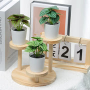 Artificial Potted Plants - 6 Assorted Styles