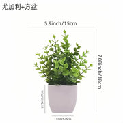 Artificial Potted Plants with White Pots - 10 Different Styles