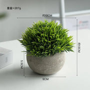 Artificial Potted Plants Beige - 5 Different Designs