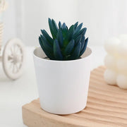Artificial Potted Plants with White Pots - 10 Different Styles