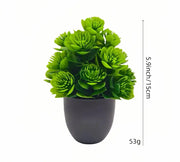 Artificial Potted Plants with Black Pots - 5 Assorted Designs