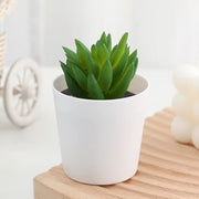 Artificial Potted Plants with White Pots - 10 Different Styles