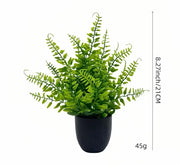 Artificial Potted Plants with Black Pots - 5 Assorted Designs