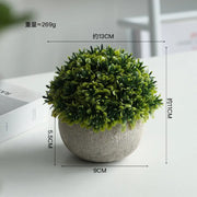Artificial Potted Plants Beige - 5 Different Designs
