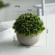 Artificial Potted Plants Beige - 5 Different Designs