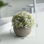 Artificial Potted Plants Beige - 5 Different Designs