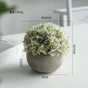 Artificial Potted Plants Beige - 5 Different Designs