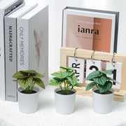 Artificial Potted Plants - 6 Assorted Styles