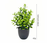 Artificial Potted Plants with Black Pots - 5 Assorted Designs