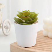 Artificial Potted Plants with White Pots - 10 Different Styles