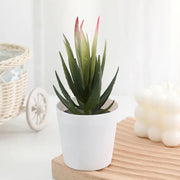 Artificial Potted Plants with White Pots - 10 Different Styles