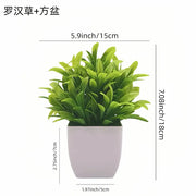Artificial Potted Plants with White Pots - 10 Different Styles